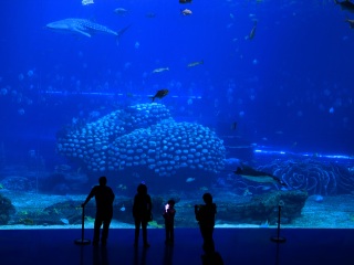 珠海海洋王國游 旅行團(tuán)_跟團(tuán)珠海海洋王國游價格_珠海海洋王國旅游團(tuán)報(bào)價2021