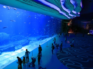 珠海海洋王國游 旅行團(tuán)_跟團(tuán)珠海海洋王國游價格_珠海海洋王國旅游團(tuán)報(bào)價2021