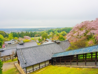组团去日本旅游_深圳包团日本旅游_日本旅游的报价
