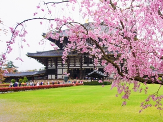 日本旅行團自由行_日本游組團_日本游花多少錢