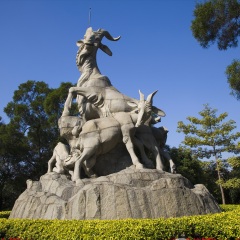 活动模块 