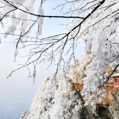 景点模块 