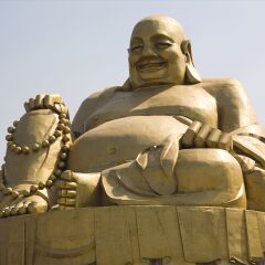 活动模块 