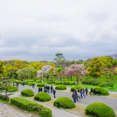 景点模块 