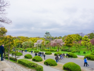 旅行团日本旅游_日本旅游不跟团_去日本7天游