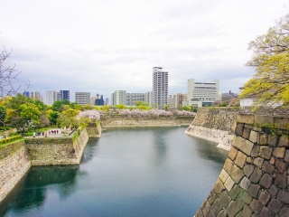 旅行团日本旅游_日本旅游不跟团_去日本7天游