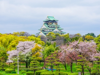 旅行团日本旅游_日本旅游不跟团_去日本7天游