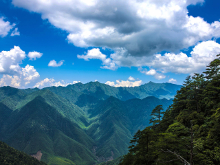深圳特價(jià)廈門鼓浪嶼游_廈門鼓浪嶼游 旅行團(tuán)_去廈門鼓浪嶼報(bào)團(tuán)多少錢