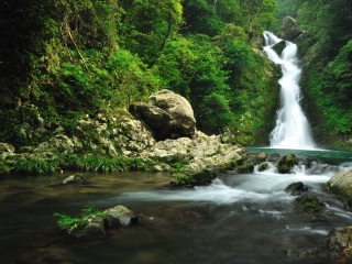 現(xiàn)在到江西廬山旅游多少錢_旅行團江西廬山游_去江西廬山旅游怎么走
