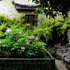 景点模块 