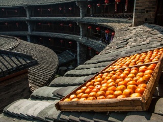 廈門鼓浪嶼旅游大概多少錢_廈門鼓浪嶼自由行還是跟團(tuán)好_香港旅游團(tuán)廈門鼓浪嶼