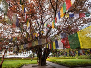 尼泊爾旅行團(tuán)旅游報(bào)價(jià)_到尼泊爾旅游_尼泊爾旅游團(tuán)報(bào)價(jià)2021