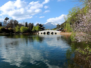 去云南香格里拉旅游_云南香格里拉旅游價格多少跟團_云南香格里拉旅游大約多少錢