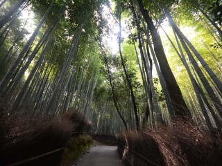 日本大阪旅游價(jià)格多少_怎么去日本大阪旅游_日本大阪自由游價(jià)格多少