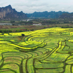 景点模块 