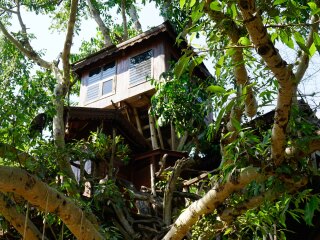 泰國清邁游跟團多少錢_泰國清邁私人定制旅游_泰國清邁游8月份報價
