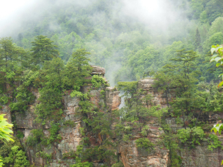 現(xiàn)在到張家界長(zhǎng)沙旅游多少錢_張家界長(zhǎng)沙特價(jià)旅游團(tuán)報(bào)價(jià)_張家界長(zhǎng)沙旅游報(bào)團(tuán)價(jià)格