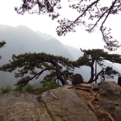 景点模块 