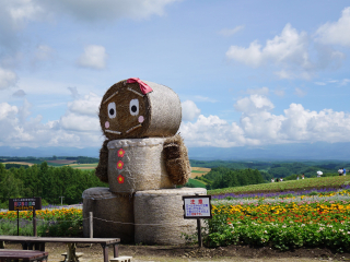 旅行團(tuán)日本游_去日本游怎么省錢_旅游去日本