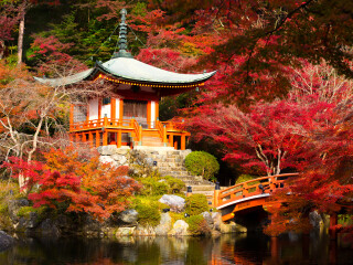 到日本6天游_去日本旅行报团_日本旅游最佳