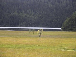 云南香格里拉最佳旅游路線_云南香格里拉游花多少錢_到云南香格里拉旅游報團(tuán)價格