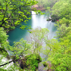 景点模块 