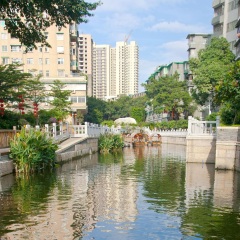 活动模块 