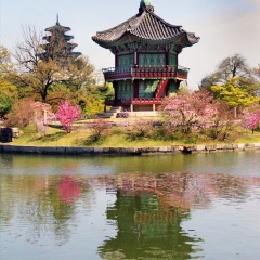 景点模块 