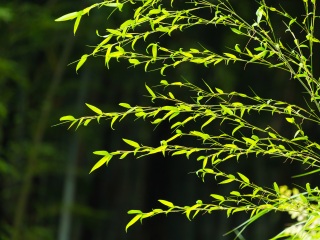 北京故宮長城旅游價格_北京故宮長城游報價_北京故宮長城旅游跟團多少錢