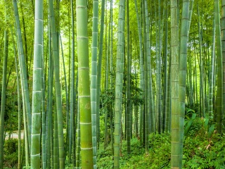 北京故宮長城旅游價格_北京故宮長城游報價_北京故宮長城旅游跟團多少錢