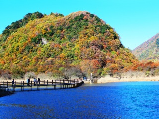 去恩施大峡谷-神农架-大九湖-武当山旅游包团_恩施大峡谷-神农架-大九湖-武当山国际旅行_深圳出发游恩施大峡谷-神农架-大九湖-武当山