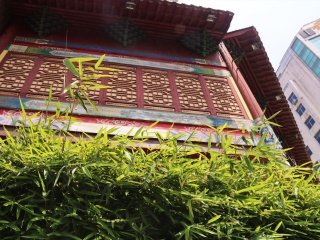 廬山旅游大概多少錢_跟團廬山游價格_去廬山旅游多少錢