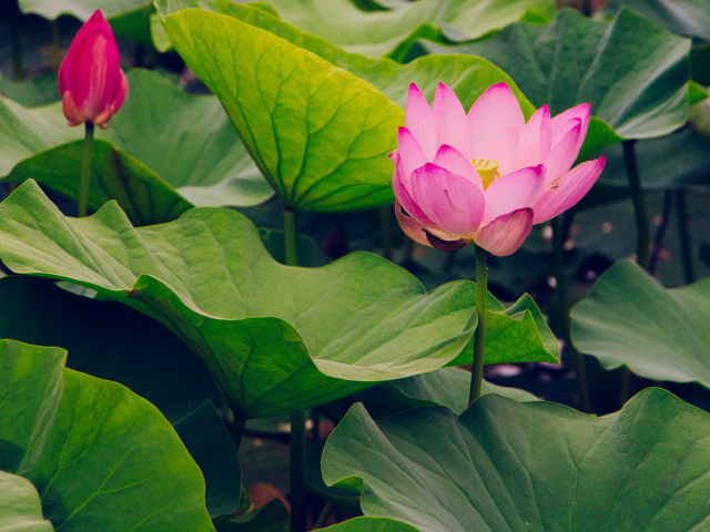 <沈阳-长春-哈尔滨高铁5日游