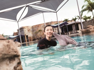 新加坡馬來西亞私人定制旅游_去新加坡馬來西亞旅游怎么走_(dá)新加坡馬來西亞旅行團(tuán)自由行