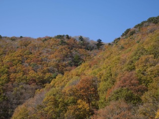 日本大阪旅行團(tuán)旅游報(bào)價(jià)_日本大阪旅游大概多少錢(qián)_日本大阪旅游組團(tuán)
