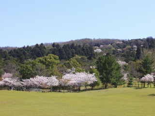 組團去日本_日本八月份旅游_到日本旅游報團價格