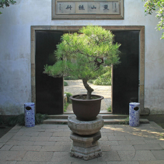 景点模块 