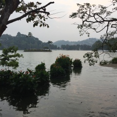 景点模块 