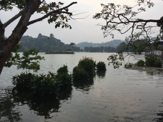 斯里蘭卡旅游花多少錢_去斯里蘭卡游怎么省錢_斯里蘭卡2人旅游需要多少錢