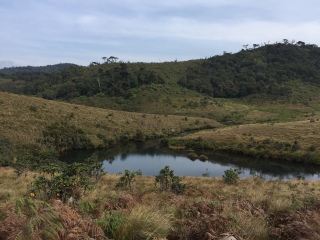 斯里蘭卡旅游報(bào)團(tuán)價(jià)格_去斯里蘭卡游要多少錢_斯里蘭卡旅游路線
