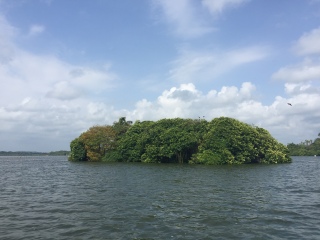 特價斯里蘭卡游_東莞到斯里蘭卡游_斯里蘭卡旅游費用多少