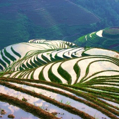 景点模块 