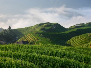 深圳到桂林旅游報(bào)價(jià)_桂林游特價(jià)團(tuán)_桂林旅游花費(fèi)一般多少