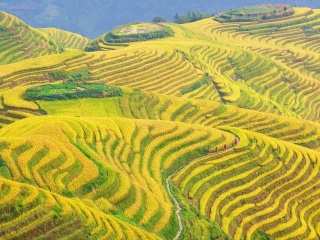 2021去桂林陽朔旅游團報價_桂林陽朔游跟團多少錢_跟團桂林陽朔旅游價格表