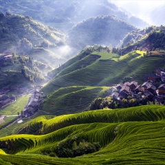 景点模块 