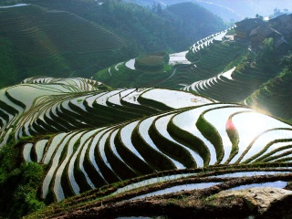桂林6天游_桂林报团旅游_去桂林旅游得多少钱