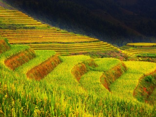 旅行團桂林陽朔游_以往國慶桂林陽朔游價格_去桂林陽朔旅游要多少錢