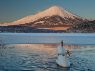 報(bào)團(tuán)去日本多少錢_2021去日本跟團(tuán)多少錢_8月日本旅游