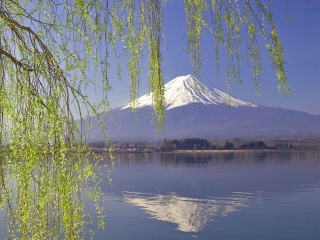 日本旅行游_春节日本游_广州到日本轻松游