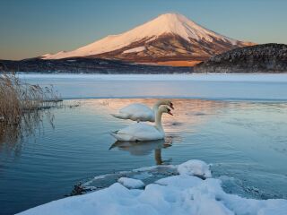 日本東京旅游要多少錢(qián)2021_日本東京旅游報(bào)價(jià)_怎么去日本東京旅游